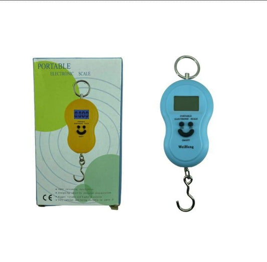 Portable Hanging Fish Scale Stainless Steel Digital Display