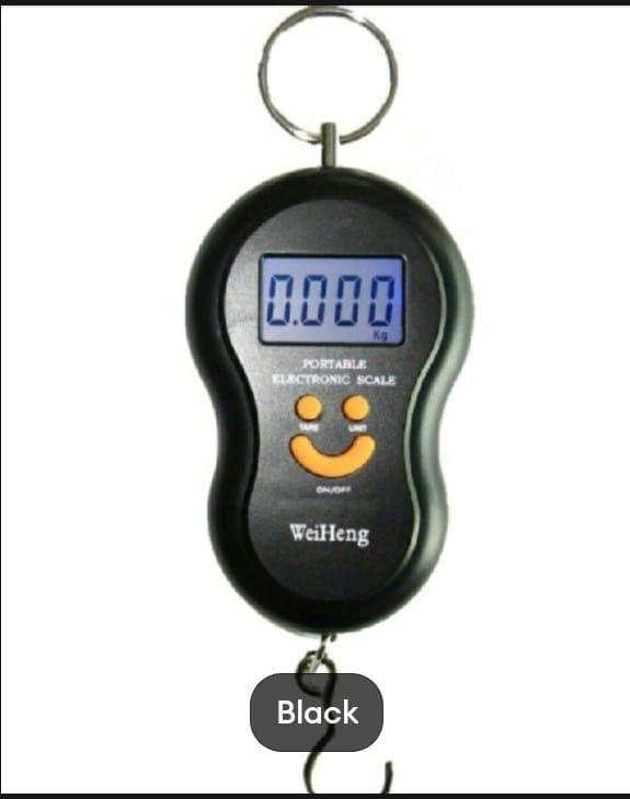 Portable Hanging Fish Scale Stainless Steel Digital Display