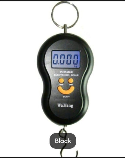 Portable Hanging Fish Scale Stainless Steel Digital Display