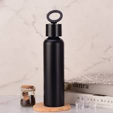 Vacuum Insulated Water Bottle with Holder