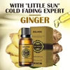 EELHOE - Ginger Essential Oil