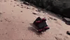 Amphibious - Stunt Vehicle Toy ©